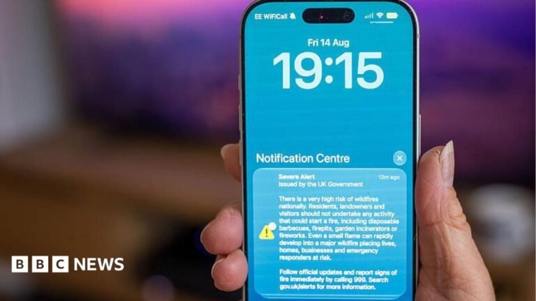 Emergency alert put domestic abuse victims at risk, campaigners say A picture of a phone with blue background carrying the UK government Severe Alert warning of the risk of wildfires.
