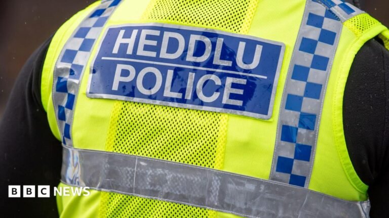 Four men arrested after violent disorder near Pontypool, police say CBeebies Parenting