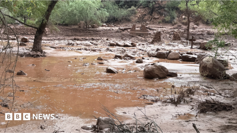 Grand Canyon flash floods kills one and sparks search for missing hikers A rescuer digs trhough debris