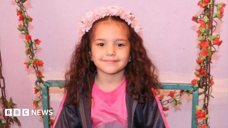 Israeli army orders criminal investigation into killing of Palestinian girl Hind Rajab in Gaza Hind Rajab smiles at the camera.