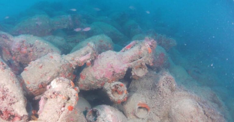 Italian Diver Discovers Hundreds of Ancient Amphorae in Sicily Italian Diver Discovers Hundreds of Ancient Amphorae in Sicily