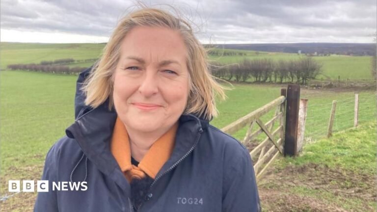 Langdale Moor wildfire ‘overlooked’ as it was in the North – MP Alison Hume smiles at the camera, with some green fields behind her and blackened moorland in the distance.