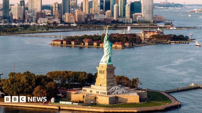 Man arrested after boat capsizes near Statue of Liberty killing woman and infant aerial shot of Statue of Liberty and waters surrounding it with New York skyline in background