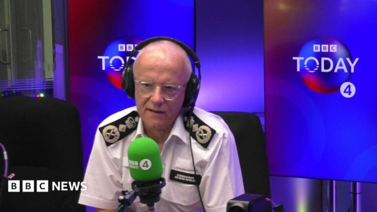 Met chief accepts mistakes made over Simon Levy but defends investigation into murders A white horse in a field. He has a black bridle on and a blue lead.