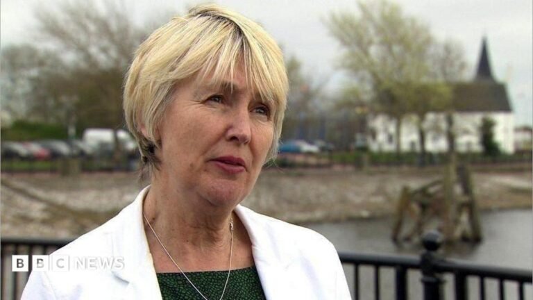 Reform Facebook page accuses Plaid minister of using husband’s death for political gain CBeebies Parenting