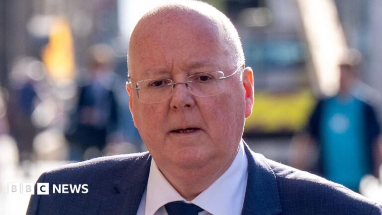 SNP write-off value of Peter Murrell motorhome in party’s 2025 accounts CBeebies Parenting