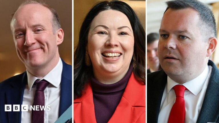 Scottish Labour leader hopefuls warn against party divisions A white horse in a field. He has a black bridle on and a blue lead.
