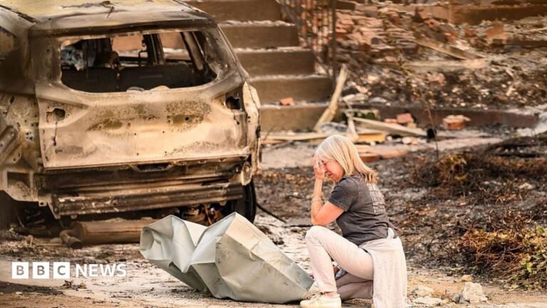 Spokane wildfire arson suspect waited for dry, windy day to start blaze, police say CBeebies Parenting