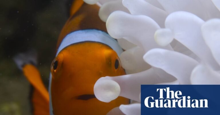 TV tonight: Andrew Lincoln narrates an impressive nature series | Television & radio