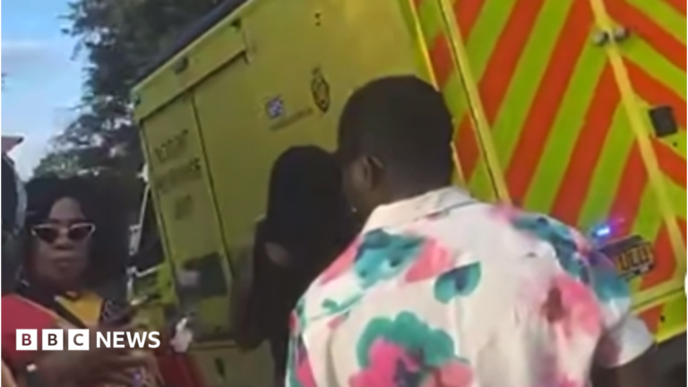 Three in hospital after fire and crush at festival in Barnet A mother and son pose for a selfie. They are both smiling with the tops of their heads touching. They are standing on a viewpoint, with a canopy of trees and an ocean view far below them.