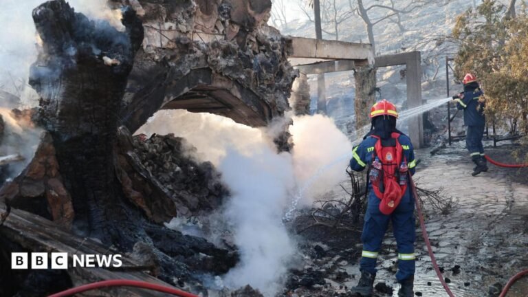 Firefighters work on a wildfire which prompted evacuations on the island of Salamina