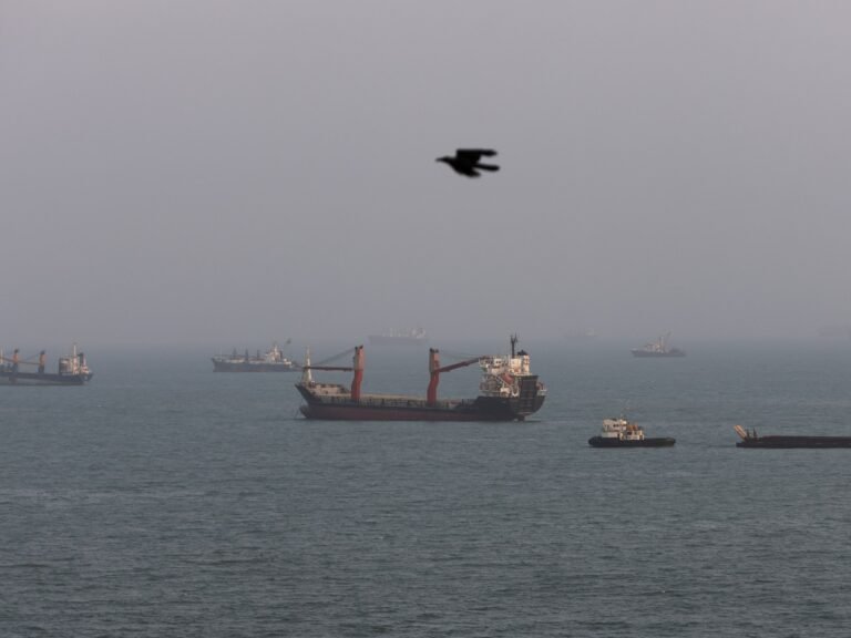 UAE accuses Iran of attacks on two ADNOC vessels in Strait of Hormuz | Shipping News UAE accuses Iran of attacks on two ADNOC vessels in Strait of Hormuz | Shipping News