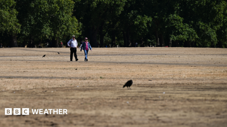 UK weather: Brief relief ahead of fifth heatwave – as more areas could move into drought Two people walk along a scorched field in Hyde Park following a prolonged period of heat and little rainfall