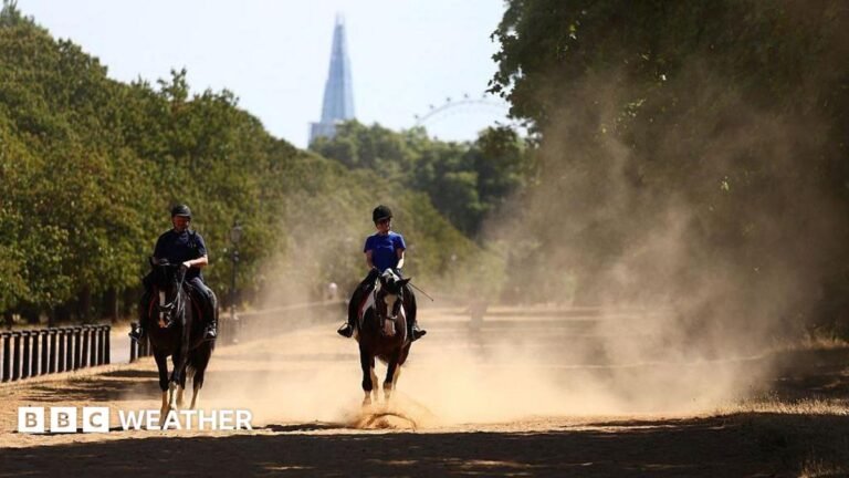 UK weather: Burnham to chair Cobra meeting on extreme heat as temperatures surge again Riders kick up the dust during a gallop on the scorched grass of Hyde Park, in central London