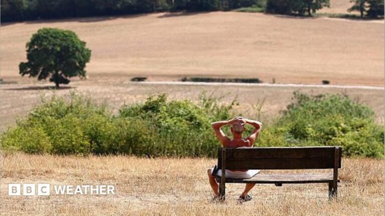 UK weather: Final day of heatwave for many before weekend cooldown A man with his hands on his head sits on a bench and looks out at a parched field, with a tree in the middle distance