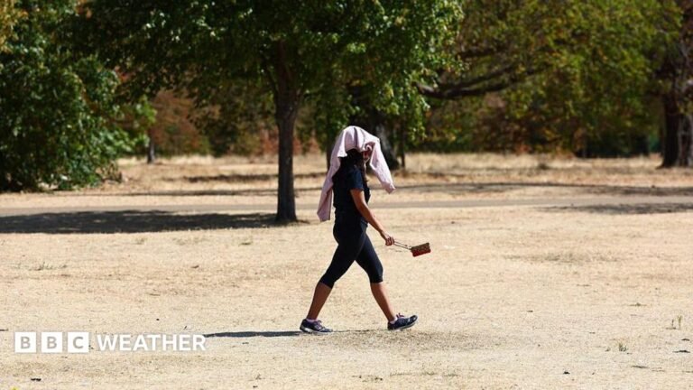 Person walking across a very dry and brown park with a towel over their head, providing shelter from the hot weather