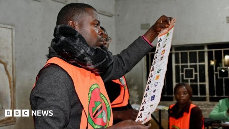 Zambia election: Vote counting suspended over alleged attacks on polling staff An election official wearing an orange tabard and scarf holds up a ballot paper for inspection.