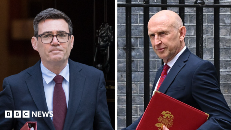 A split composite picture of Andy Burnham and John Healey, both in Downing Street carrying red folders.