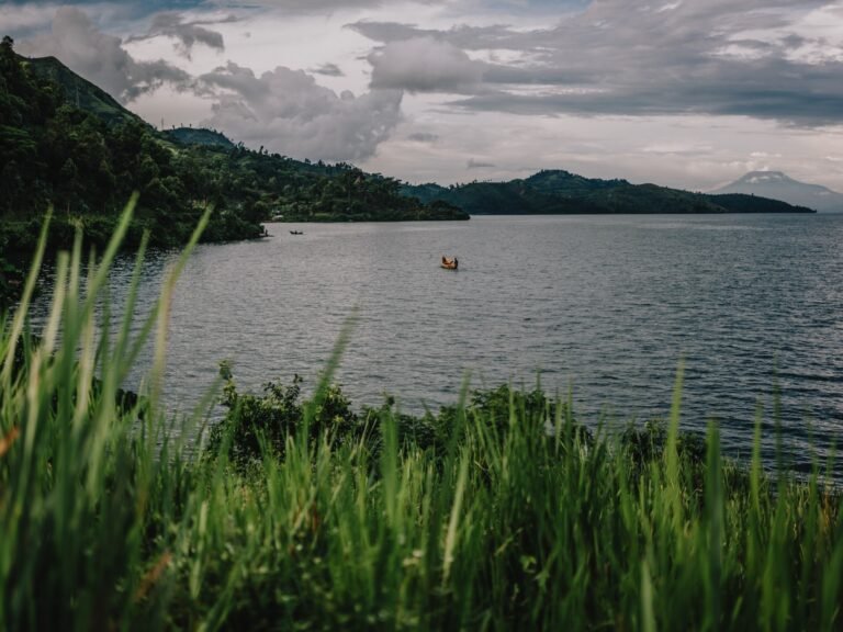 At least 12 dead and dozens missing after a vessel capsizes in DRC | Shipping News At least 12 dead and dozens missing after a vessel capsizes in DRC | Shipping News