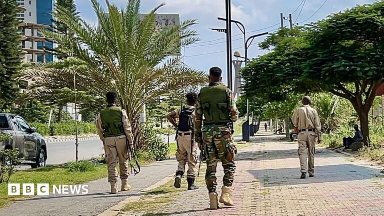 Ethiopia and Tigray accuse each of launching offensives, fuelling fears of new war Four soldiers in green and beige military fatigues walk down a road with rifles by their sides. Their backs are to the camera. The road is lined with trees, including a palm tree