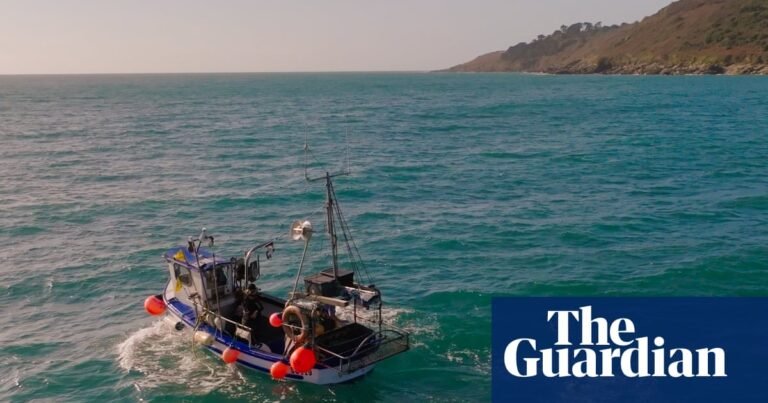 Floating scarecrows: how Cornish fishers are stopping seabirds drowning in their nets | Fishing Floating scarecrows: how Cornish fishers are stopping seabirds drowning in their nets | Fishing