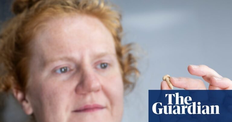 Glimpses into lives of Roman suburbanites in Bath revealed in rare finds | Archaeology