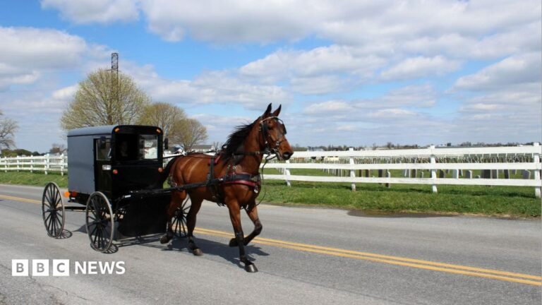 In Amish country, nurses go door to door to stop deadly spread of measles A horse and buggy carriage drives by