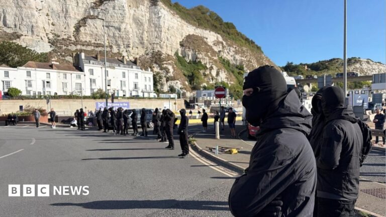 Masked protesters block access at Port of Dover A row of masked men block a road at the entrance to the Port of Dover.