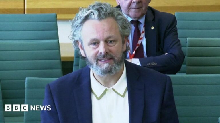 Michael Sheen had ‘constructive’ meeting with first minister over toxic dumping claims Earl Spencer walking, wearing a navy suit and a purple tie.
