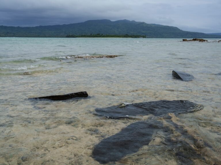 One dead, more than 30 missing after Vanuatu ferry sinks, PM’s office says | Humanitarian Crises News One dead, more than 30 missing after Vanuatu ferry sinks, PM’s office says | Humanitarian Crises News