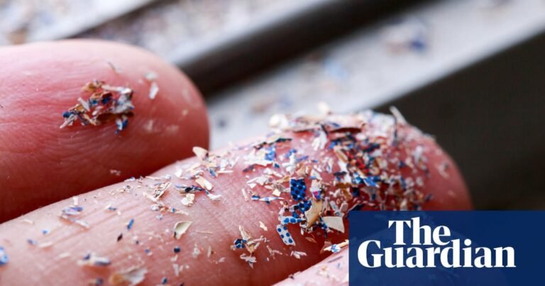 Rising microplastics in soil a threat to UK food security, MPs and campaigners say | Plastics Rising microplastics in soil a threat to UK food security, MPs and campaigners say | Plastics