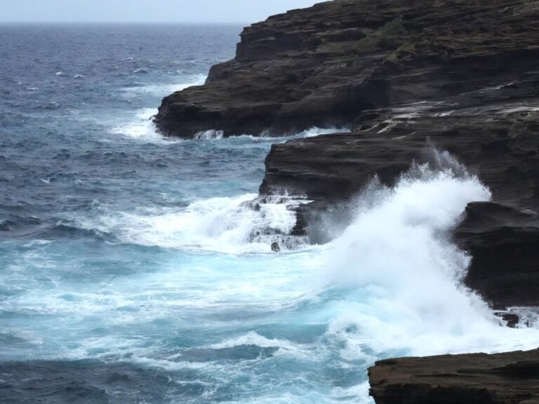 Torrential rains, winds from Hurricane Lowell leaves 30,000 without power | Weather News Torrential rains, winds from Hurricane Lowell leaves 30,000 without power | Weather News