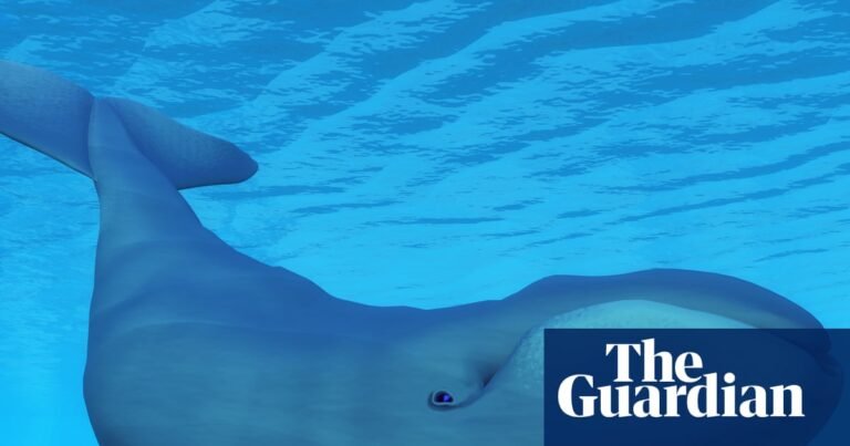 Trump officials move to dismantle key protection for US endangered species | Trump administration Trump officials move to dismantle key protection for US endangered species | Trump administration