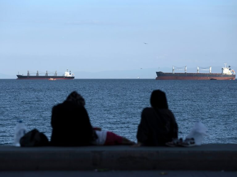 Turkiye launches search for cargo ship after vessels collide off Istanbul | News Turkiye launches search for cargo ship after vessels collide off Istanbul | News
