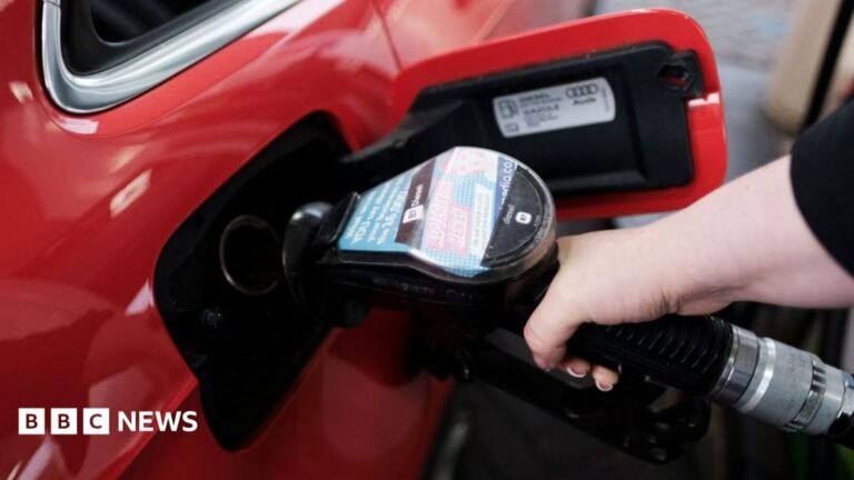 UK economy will grow by less than expected next year, OECD says A woman fills a car with diesel from the pump