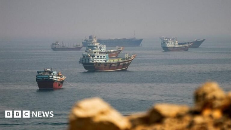 US launches strikes on Iran following ‘attempted attacks in Strait’ Close-up of orangutan's eyes