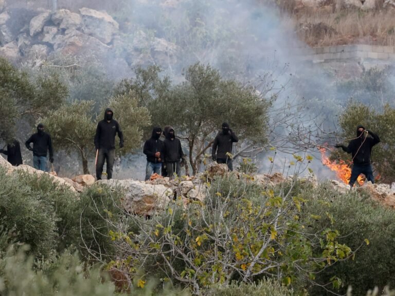 Activists accuse Israeli settlers of assault in occupied West Bank | Occupied West Bank News