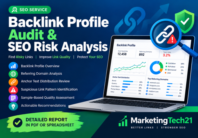 Backlink Profile Audit & SEO Risk Analysis With Optimized & Clean Excel/PDF Format Report for $35