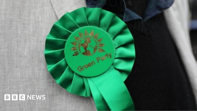Stock image of a Green Party rosette