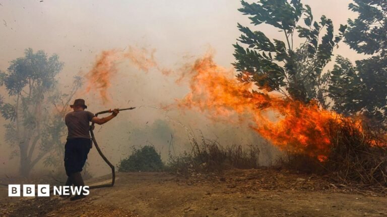 Borneo burning: Life on the frontline of South East Asia’s toxic haze Somebody holding up a smart-phone in their right hand. The screen is black with 'Revolut' written in white letters.