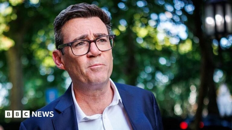 Burnham asks for ‘manual trawl’ of records for former Man City links Andy Burnham in a navy blue suit in front of blurred green foliage.