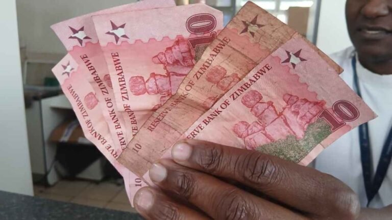 Can Zimbabwe’s ZiG win trust and replace the US dollar? | Economy News