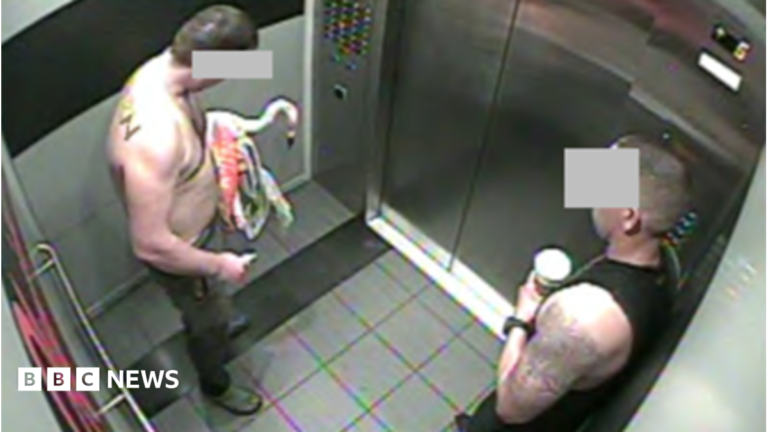 Canadian tourist guilty of animal cruelty after stealing Las Vegas flamingo A woman with brown hair talks to someone off-camera.
