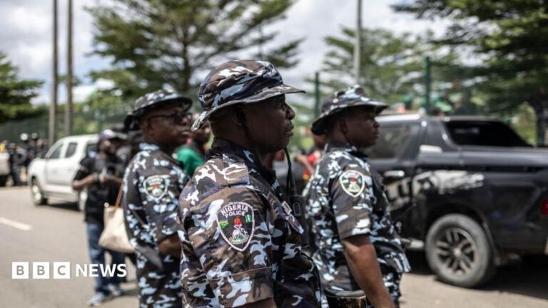 Death toll in Nigeria village raided by gunmen rises to 48, police say Nigeria Police officers (file image)