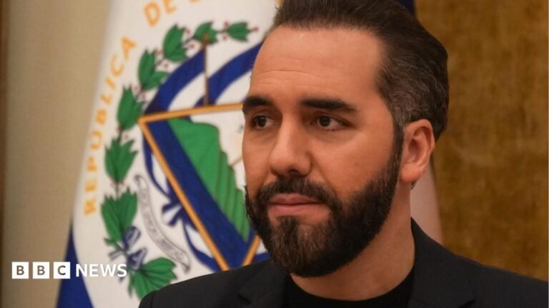 El Salvador president says bodies found in Haiti are not those of hostages Salvadoran President Nayib Bukele wears a black blazer and top during a press conference, with the flag of El Salvador visible behind him.
