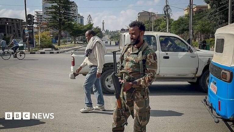 A member of the Ethiopian pro-government Tigray Peace Force (TPF) monitors activity on a street while holding a gun. He is in a camo jacket and trousers. A man wearing a white jumper and jeans walks behind him.