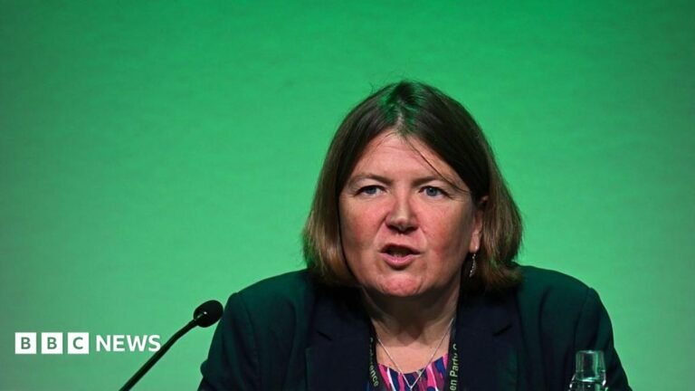 Green Party MP wants to make sure it is ‘not vulnerable to extremists’ Ellie Chows in front a green background. She is speaking into a microphone, there is also a glass bottle of water on the desk she sits behind.