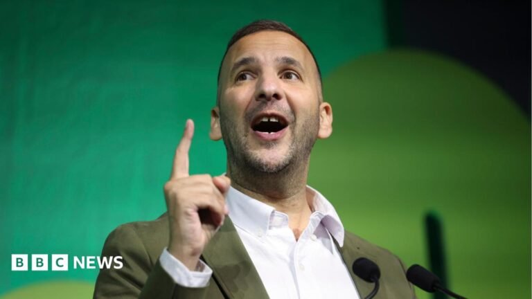 Greens can move Labour in the right direction, says Zack Polanski Green Party leader Zack Polanksi