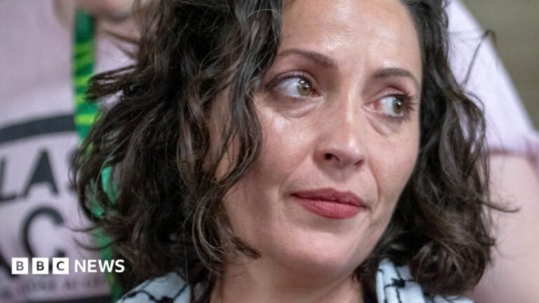 Greens investigate party member behind Zionism motion A close up image of Lubna Speitan looking to her side.