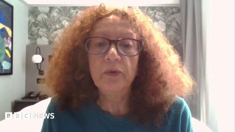 Jewish Greens chair says she could leave party over ‘Zionism is racism’ motion Vivien Lichtenstein appears on camera, wearing glasses, in a bedroom.
